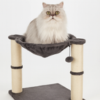 Amazon Basics Cat Tree Tower With Scratching Post And Hammock Bed for Indoor Cat - 40.6 x 50.8 x 40.6 Centimeters, Grey