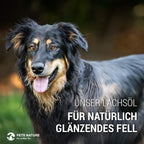 Pets Nature Salmon Oil for Dogs and Cats - 1 Litre Pure Premium Fish Oil with Omega 3 and 6 for Your Dog, Cat and Horse, 1000 ml