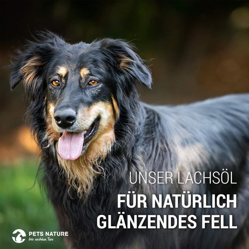 Pets Nature Salmon Oil for Dogs and Cats - 1 Litre Pure Premium Fish Oil with Omega 3 and 6 for Your Dog, Cat and Horse, 1000 ml