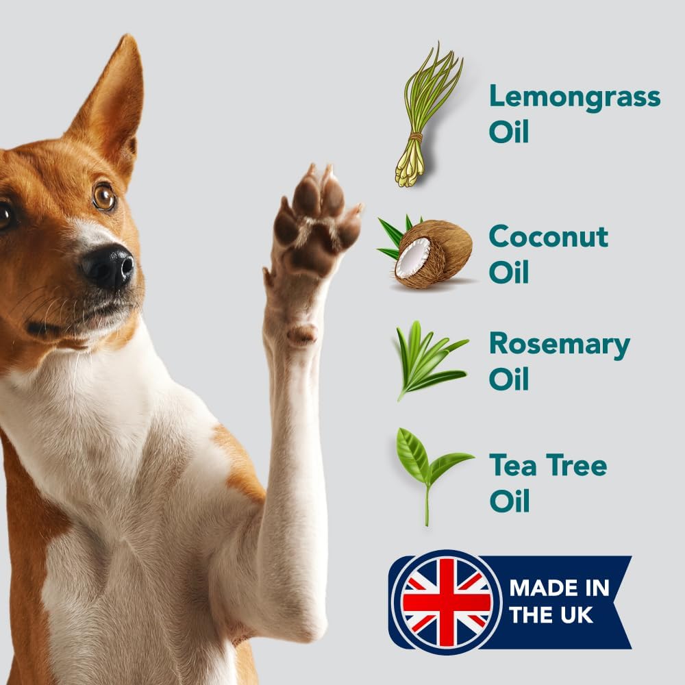 Natural Flea Spray For Home Use: Repels And Kills Fleas | Safe For Pets | Against Fleas, Ticks And Insects | For Carpets, Beds, Furniture, Cars