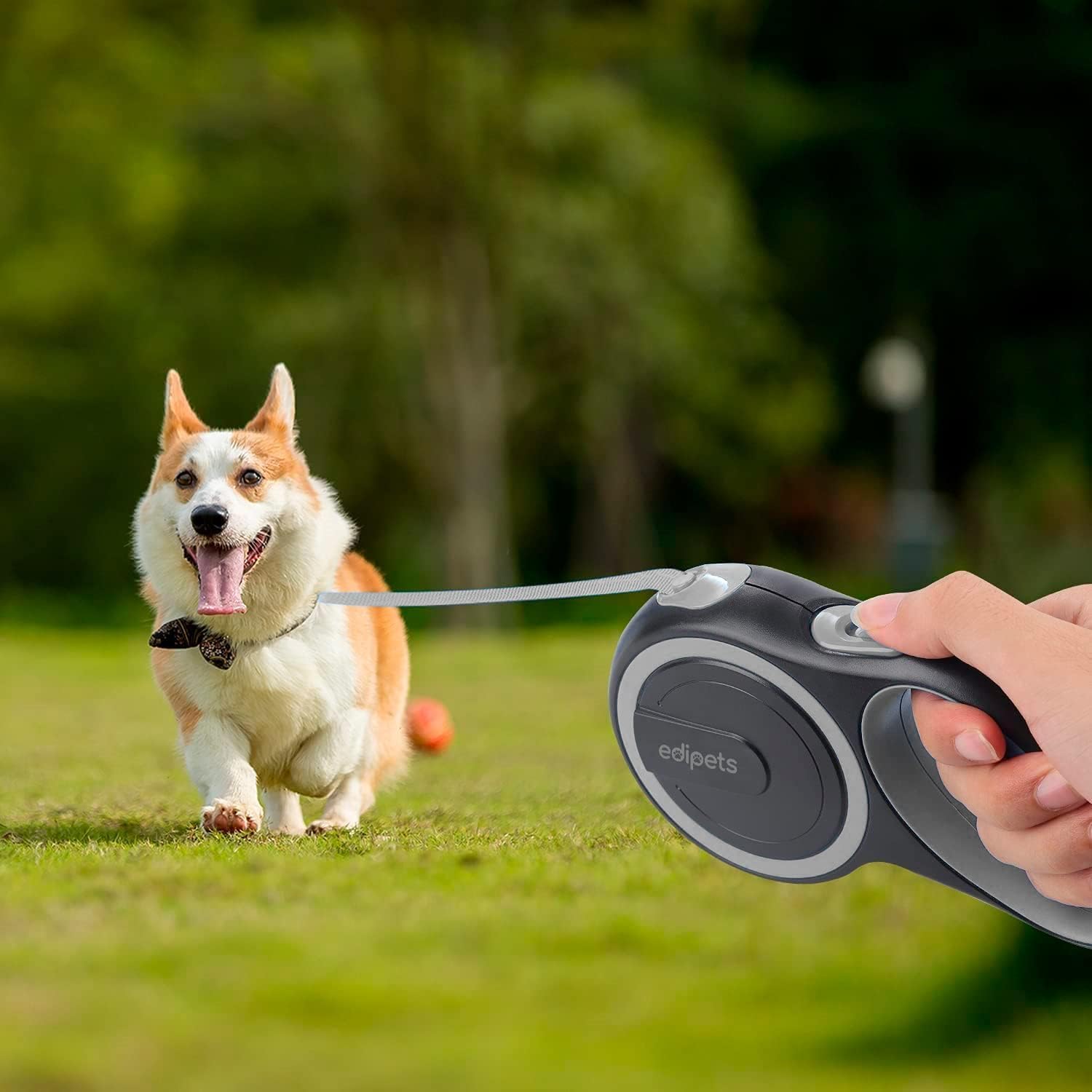 Edipets, Retractable Dog Lead, 3, 5 and 8 Metres, Extendable, Flexible Band for Walks, Dog Leash (Grey, 8 Metres)