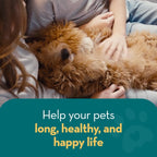 Natural Flea Spray For Home Use: Repels And Kills Fleas | Safe For Pets | Against Fleas, Ticks And Insects | For Carpets, Beds, Furniture, Cars