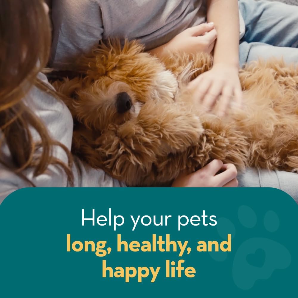 Natural Flea Spray For Home Use: Repels And Kills Fleas | Safe For Pets | Against Fleas, Ticks And Insects | For Carpets, Beds, Furniture, Cars