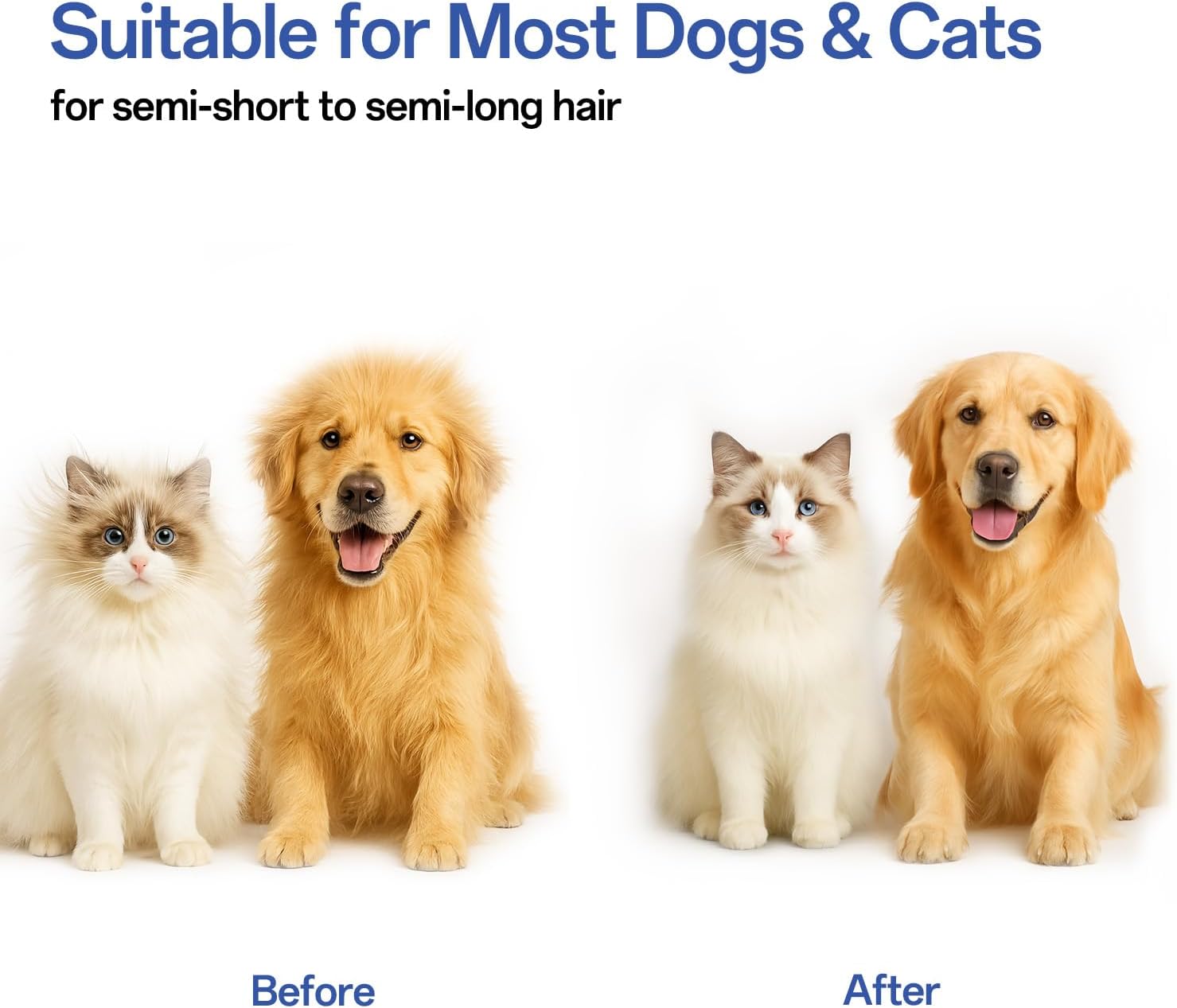 Click to see full view ACE2ACE Cat Brush for Long and Short Hair Cats, Self-cleaning Dog Brush for Shedding, Cardatore Grooming Tool for Dogs Cats, Brush for Poodle Golden Retriever Labrador Husky Bulldog Maltese, Blue