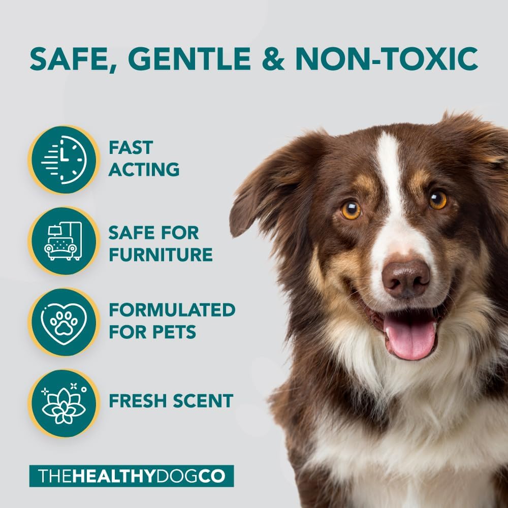 Natural Flea Spray For Home Use: Repels And Kills Fleas | Safe For Pets | Against Fleas, Ticks And Insects | For Carpets, Beds, Furniture, Cars