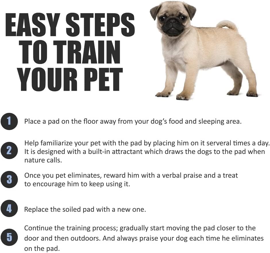 Bargain Factory - Pet Potty Training Pads Pack of 50 for Dogs Puppy Pads - Super-Absorbent 5 Layers Waterproof - 56 x 56 cm - Disposable Puppy Pee Pads