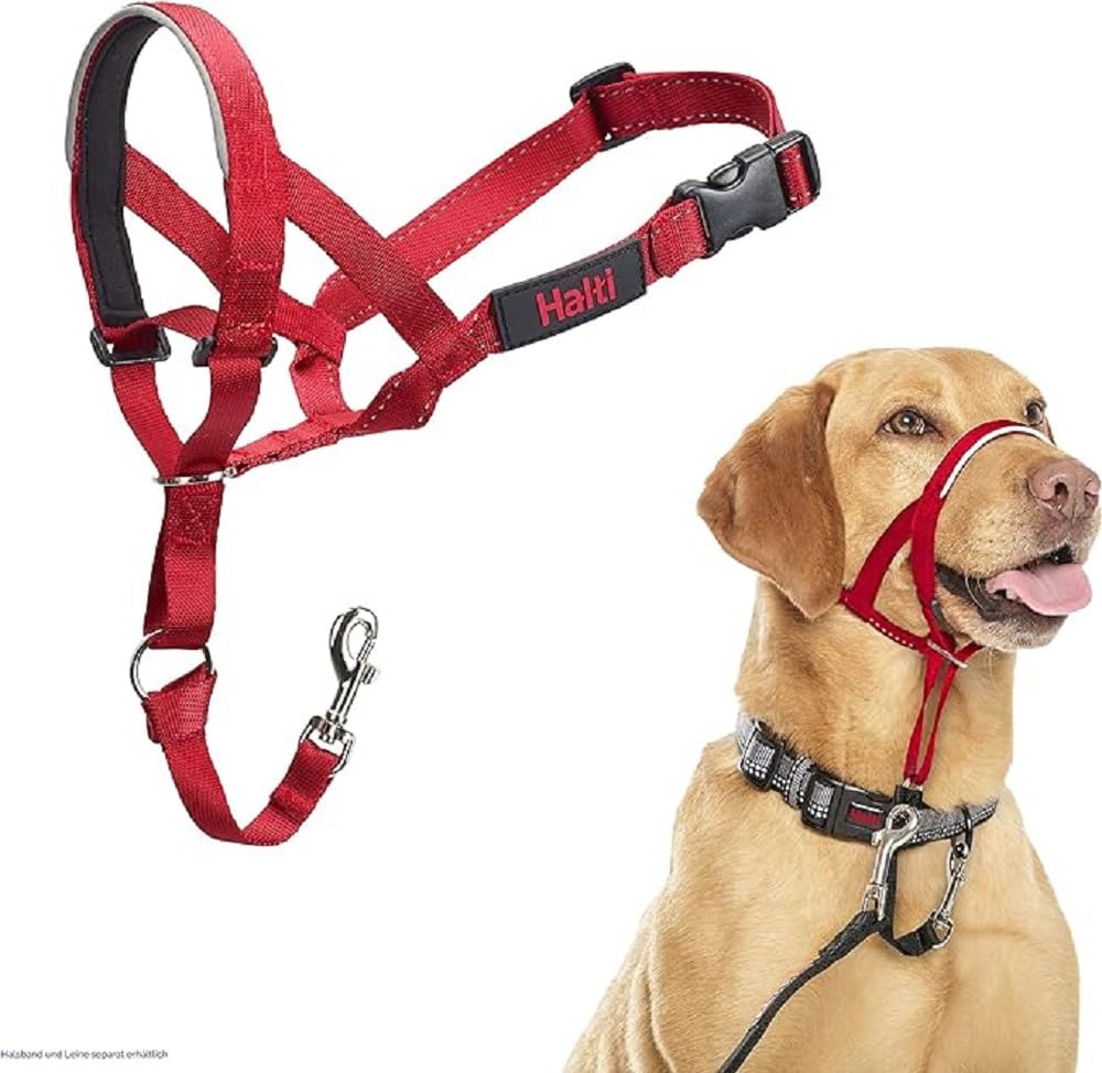HALTI Headcollar - To Stop Your Dog Pulling on the Leash. Adjustable, Reflective and Lightweight, with Padded Nose Band. Dog Training Anti-Pull Collar for Large Dogs (Size 5, Black)