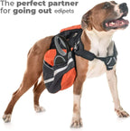 Edipets, Retractable Dog Lead, 3, 5 and 8 Metres, Extendable, Flexible Band for Walks, Dog Leash (Grey, 8 Metres)