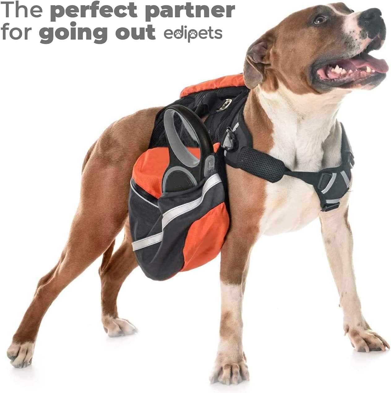 Edipets, Retractable Dog Lead, 3, 5 and 8 Metres, Extendable, Flexible Band for Walks, Dog Leash (Grey, 8 Metres)