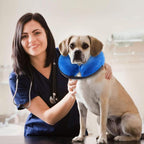 Inflatable Pet Protection Cover Recovery Collar Pet Collar Cone Soft Adjustable Comfy Quick Release Dog Donut Collar Washable Protective Collar for Dogs Cats to Stop Licking Wounds（M）