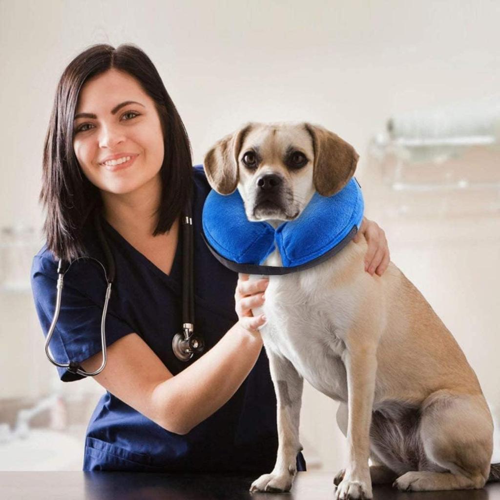 Inflatable Pet Protection Cover Recovery Collar Pet Collar Cone Soft Adjustable Comfy Quick Release Dog Donut Collar Washable Protective Collar for Dogs Cats to Stop Licking Wounds（M）