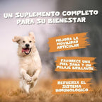 Pets Purest Scottish Salmon Oil For Dogs, Cats, Horse, Ferret - Pure Omega 3, 6 & 9 Fish Oil Food Treats Supplement for Natural Coat, Immune Support, Itchy Skin, Joint & Brain Health (500ml)