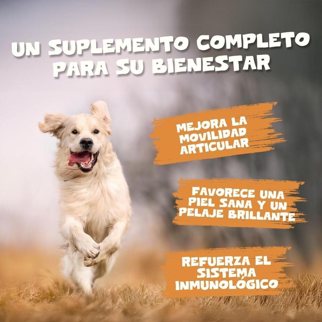 Pets Purest Scottish Salmon Oil For Dogs, Cats, Horse, Ferret - Pure Omega 3, 6 & 9 Fish Oil Food Treats Supplement for Natural Coat, Immune Support, Itchy Skin, Joint & Brain Health (500ml)