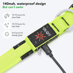 KOSKILL Light-Up Dog Collar, Rechargeable USB Collar, Waterproof, Luminous LED Collar, Adjustable, Super Bright, for Medium/Large Dogs, Green, M