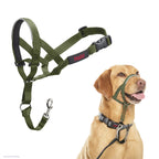 HALTI Headcollar - To Stop Your Dog Pulling on the Leash. Adjustable, Reflective and Lightweight, with Padded Nose Band. Dog Training Anti-Pull Collar for Large Dogs (Size 5, Black)