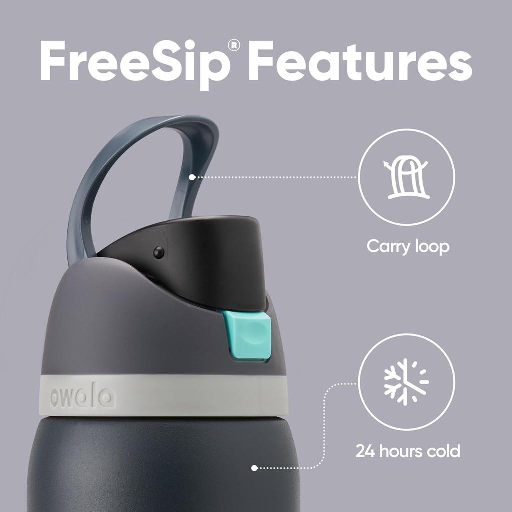 Owala FreeSip Insulated Stainless Steel Water Bottle with Straw for Sports and Travel, Leak Proof, BPA-Free, 945ml, Foggy Tide