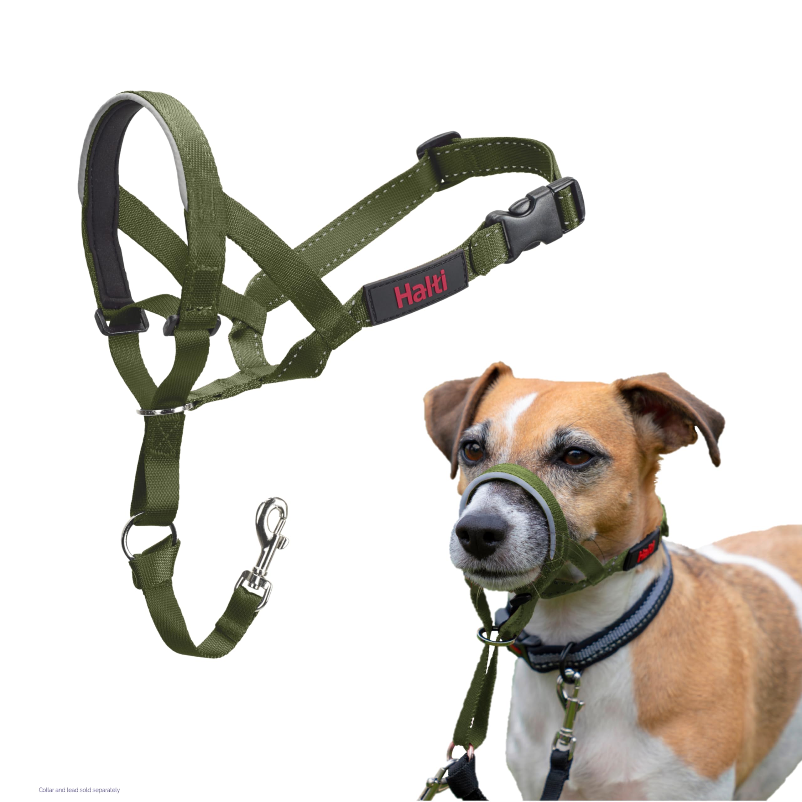 HALTI Headcollar - To Stop Your Dog Pulling on the Leash. Adjustable, Reflective and Lightweight, with Padded Nose Band. Dog Training Anti-Pull Collar for Large Dogs (Size 5, Black)