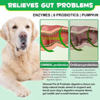 Probiotic for Dogs, Support of Dog Digestive Enzymes, Intestinal Health, Yeast Balance, Immune Supplement, Probiotic Treats, Suitable for All Ages and Breeds (120 Pieces)