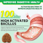 Probiotic for Dogs, Support of Dog Digestive Enzymes, Intestinal Health, Yeast Balance, Immune Supplement, Probiotic Treats, Suitable for All Ages and Breeds (120 Pieces)