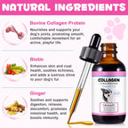 Frovetani Liquid Collagen for Dogs | Collagen for Dogs | Liquid Collagen Skin and Coat | Itching Relief for Dogs with Allergies | Skin and Fur Supplement for Dogs Bacon Flavour 2fl.oz