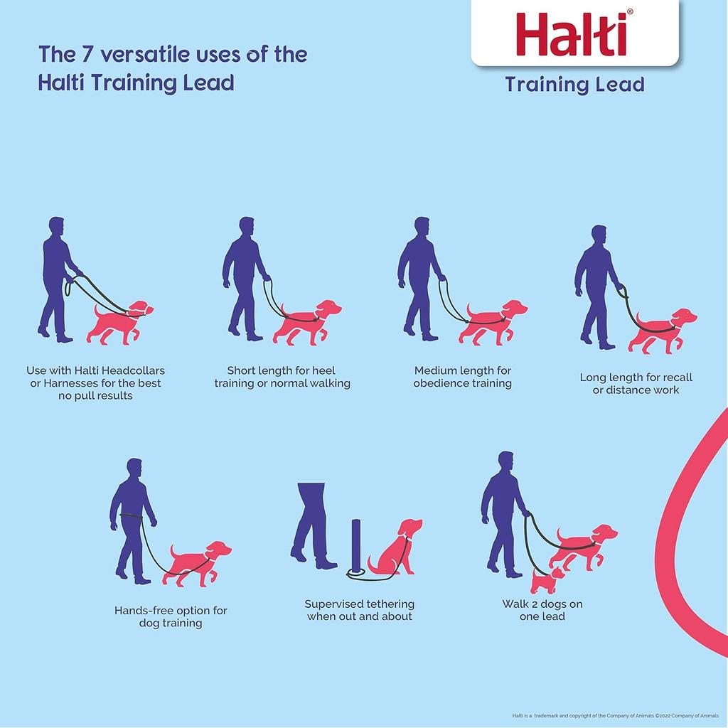 Company of Animals HALTI Training Lead Size Large Black, 2m, Professional Dog Lead to Stop Pulling on the Lead, Perfect for Puppy Walks, Easy to Use Double-Ended Dog Leash, Lightweight Soft & Durable