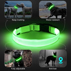 KOSKILL Light-Up Dog Collar, Rechargeable USB Collar, Waterproof, Luminous LED Collar, Adjustable, Super Bright, for Medium/Large Dogs, Green, M