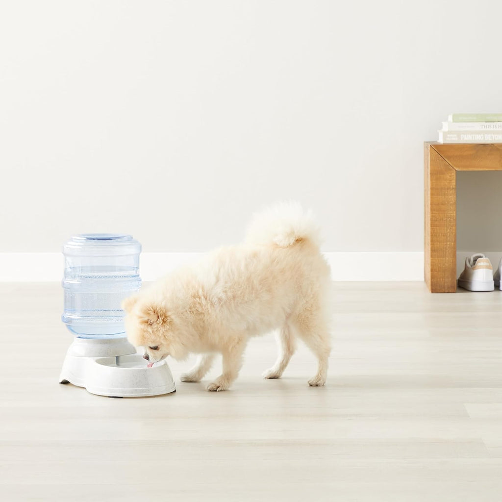 Amazon Basics Dog and Cat Water Feeder, Small, 1 Gallons (3.8 liters), Transparent