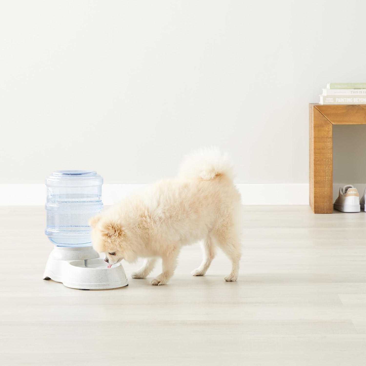 Amazon Basics Dog and Cat Water Feeder, Small, 1 Gallons (3.8 liters), Transparent