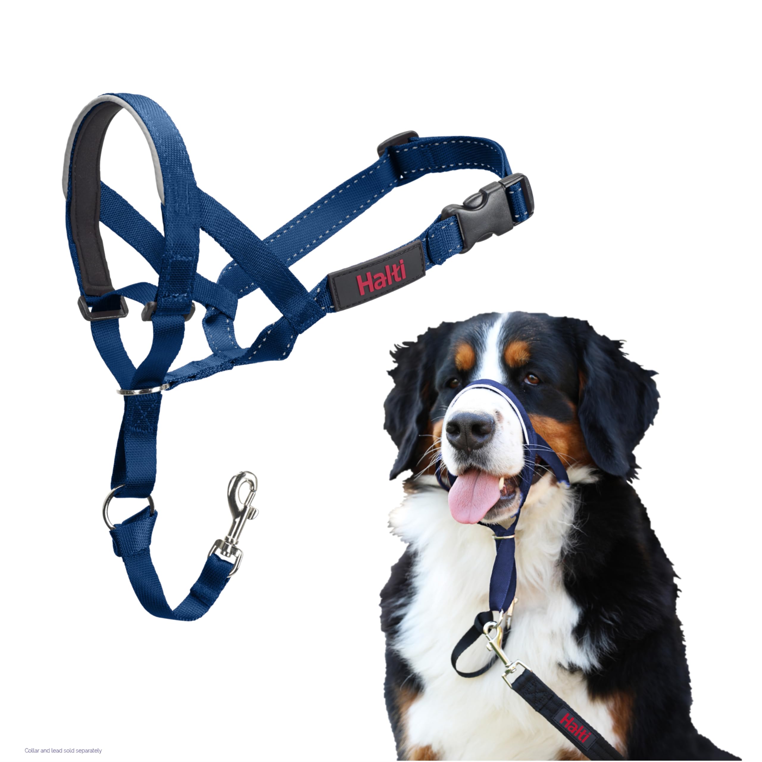 HALTI Headcollar - To Stop Your Dog Pulling on the Leash. Adjustable, Reflective and Lightweight, with Padded Nose Band. Dog Training Anti-Pull Collar for Large Dogs (Size 5, Black)
