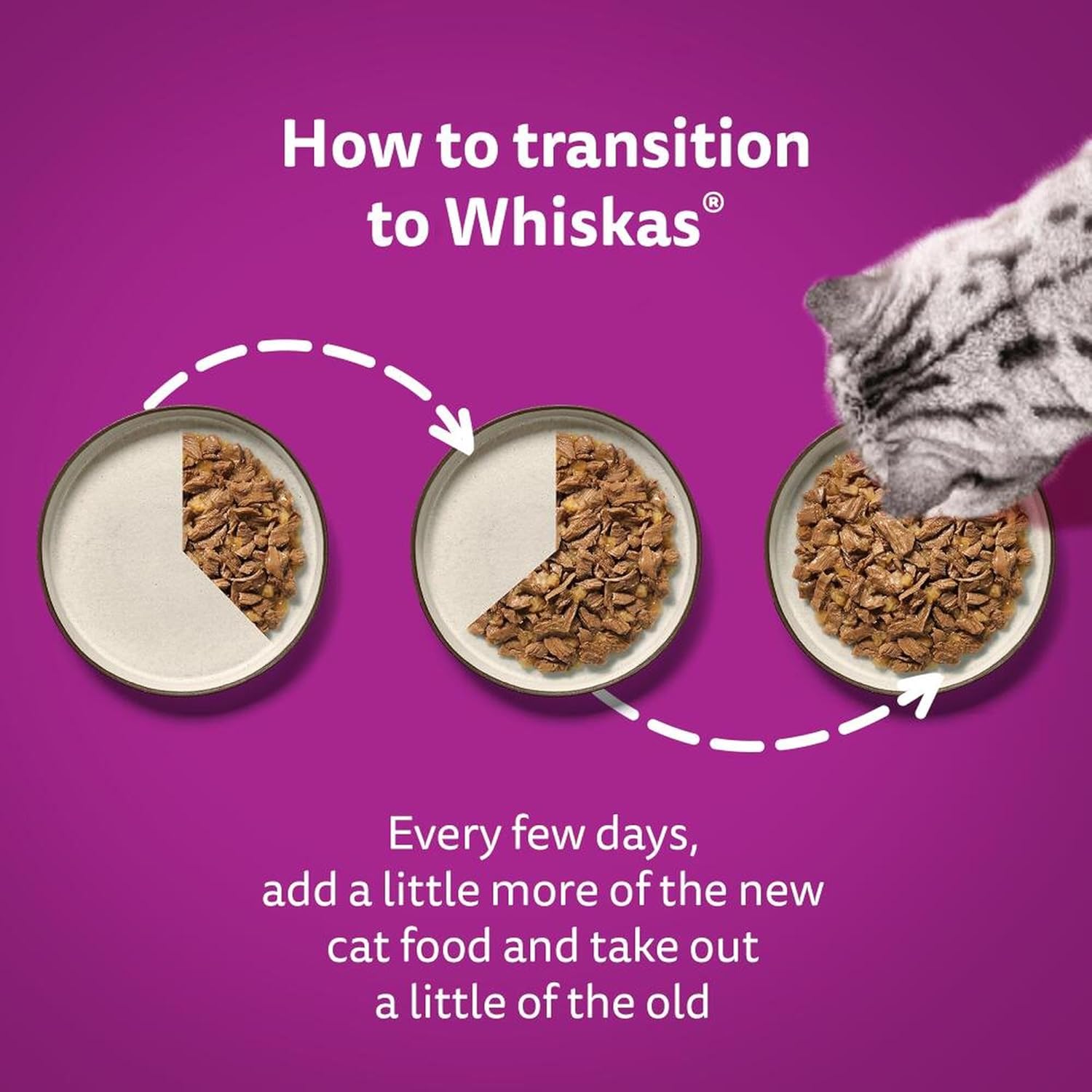 Whiskas 1+ Adult Wet Cat Food Poultry Selection in Jelly 120 x 85g Pouches Megapack, Tender Cuts in Flavoured Gravy, Nutritionally Complete, Easy to Serve, Variety Pack for Adult Cats