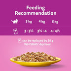 Whiskas 1+ Adult Wet Cat Food Poultry Selection in Jelly 120 x 85g Pouches Megapack, Tender Cuts in Flavoured Gravy, Nutritionally Complete, Easy to Serve, Variety Pack for Adult Cats