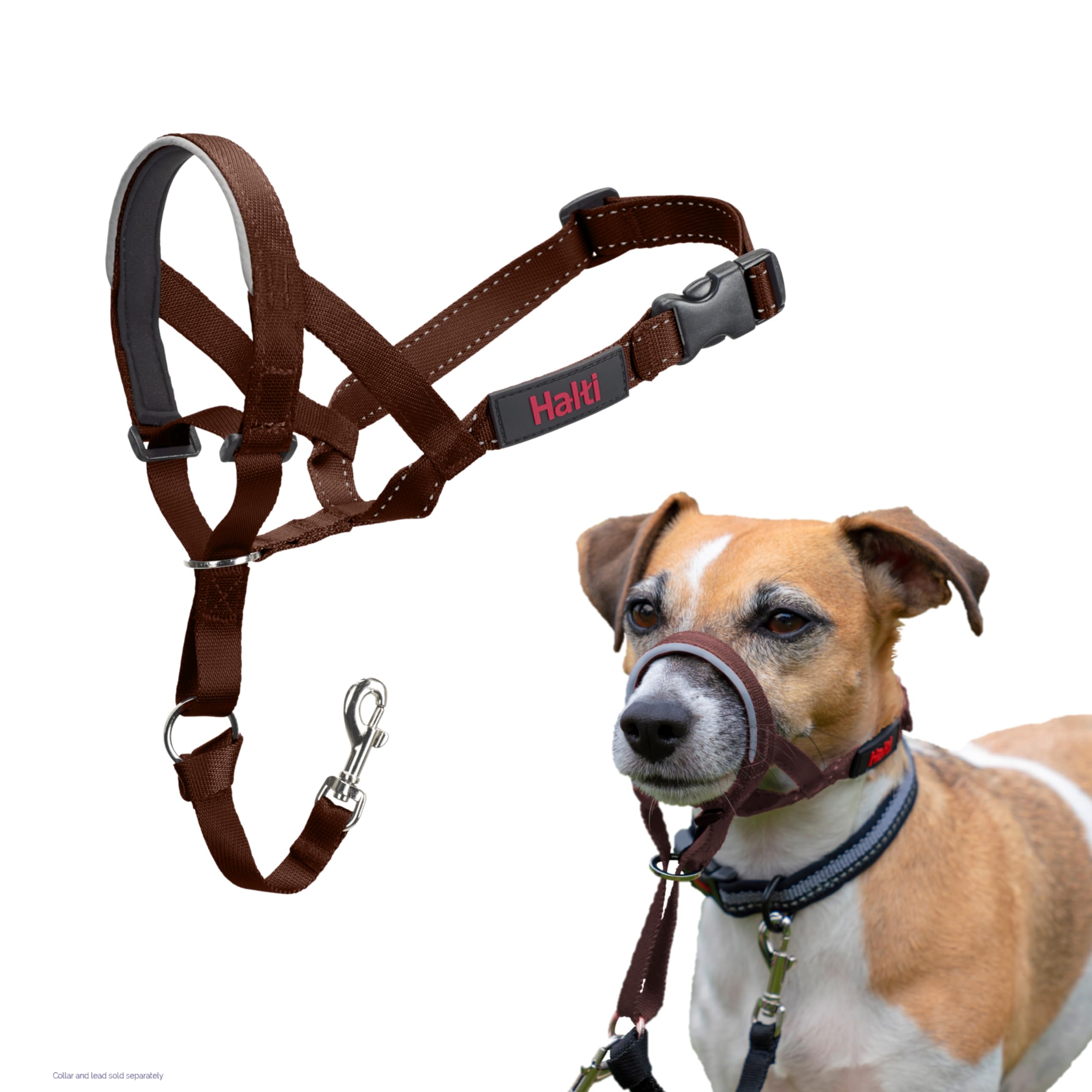 HALTI Headcollar - To Stop Your Dog Pulling on the Leash. Adjustable, Reflective and Lightweight, with Padded Nose Band. Dog Training Anti-Pull Collar for Large Dogs (Size 5, Black)