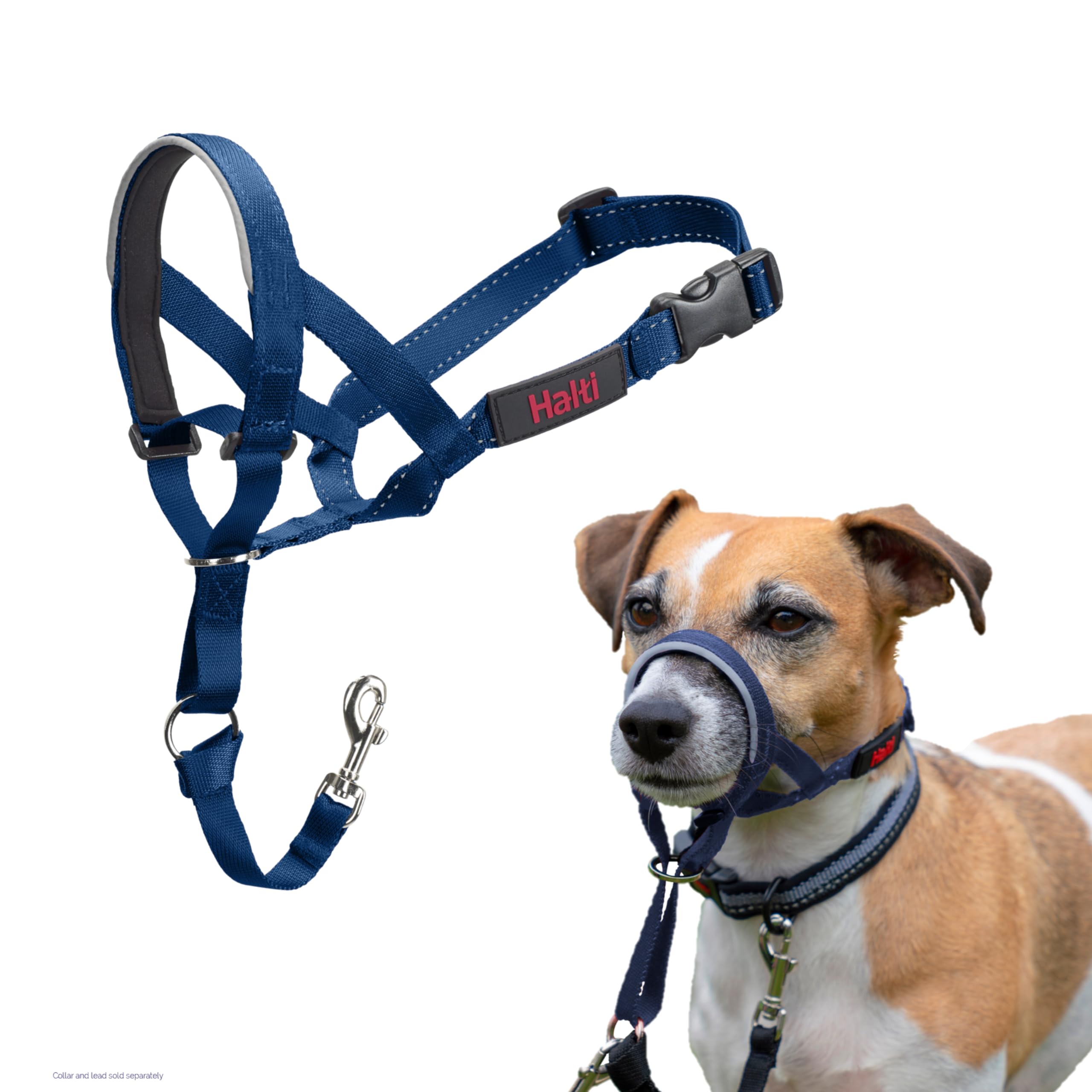 HALTI Headcollar - To Stop Your Dog Pulling on the Leash. Adjustable, Reflective and Lightweight, with Padded Nose Band. Dog Training Anti-Pull Collar for Large Dogs (Size 5, Black)