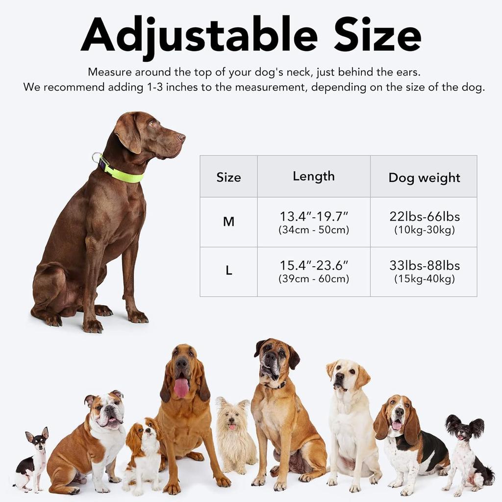KOSKILL Light-Up Dog Collar, Rechargeable USB Collar, Waterproof, Luminous LED Collar, Adjustable, Super Bright, for Medium/Large Dogs, Green, M