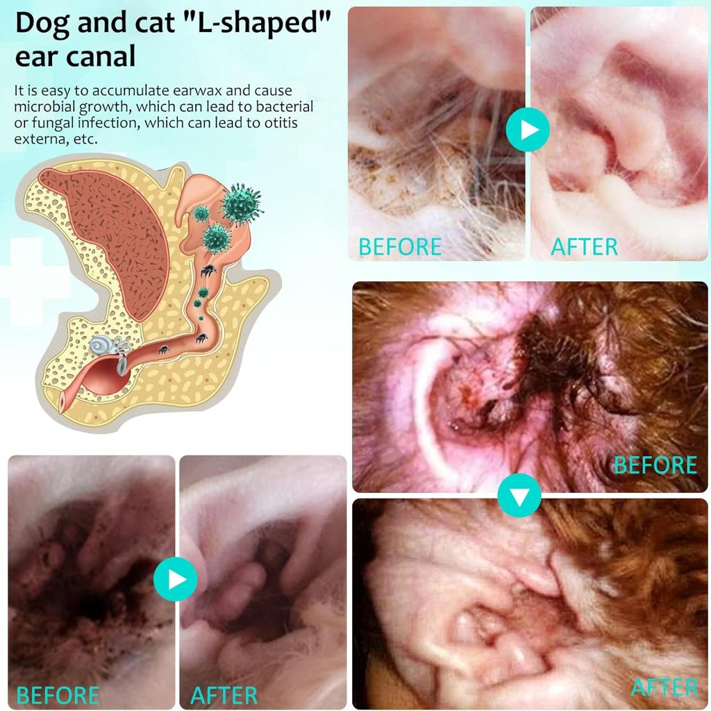 JSBNQRMZ Ear Care for Dogs, Anti-Mite Treatment for Dogs, Relieves Yeast Infections, Relieves Suffering Due to Mites, Earwax and Dirt, for Puppies, Cats and Dogs