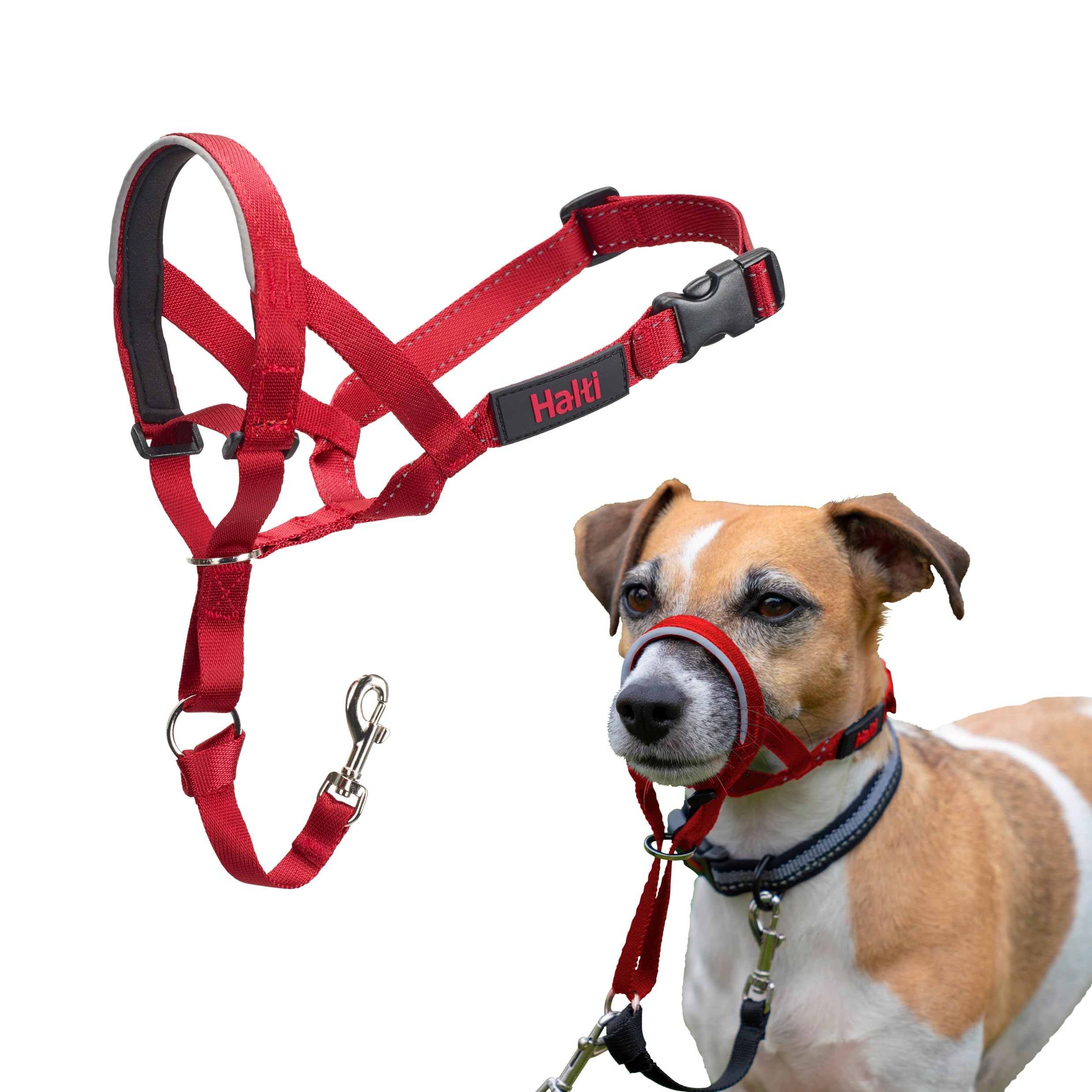 HALTI Headcollar - To Stop Your Dog Pulling on the Leash. Adjustable, Reflective and Lightweight, with Padded Nose Band. Dog Training Anti-Pull Collar for Large Dogs (Size 5, Black)