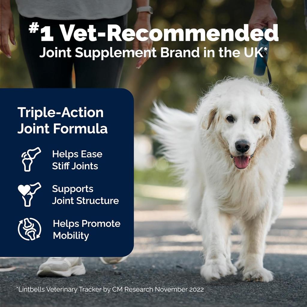 YuMOVE Senior Dog Joint Supplement - 120 Tablets, For Dogs Aged 8+ - Hip & Joint Aid for Older Dogs with Glucosamine, Chondroitin, ActivEase Green Lipped Mussel, Higher Strength for Joint Care