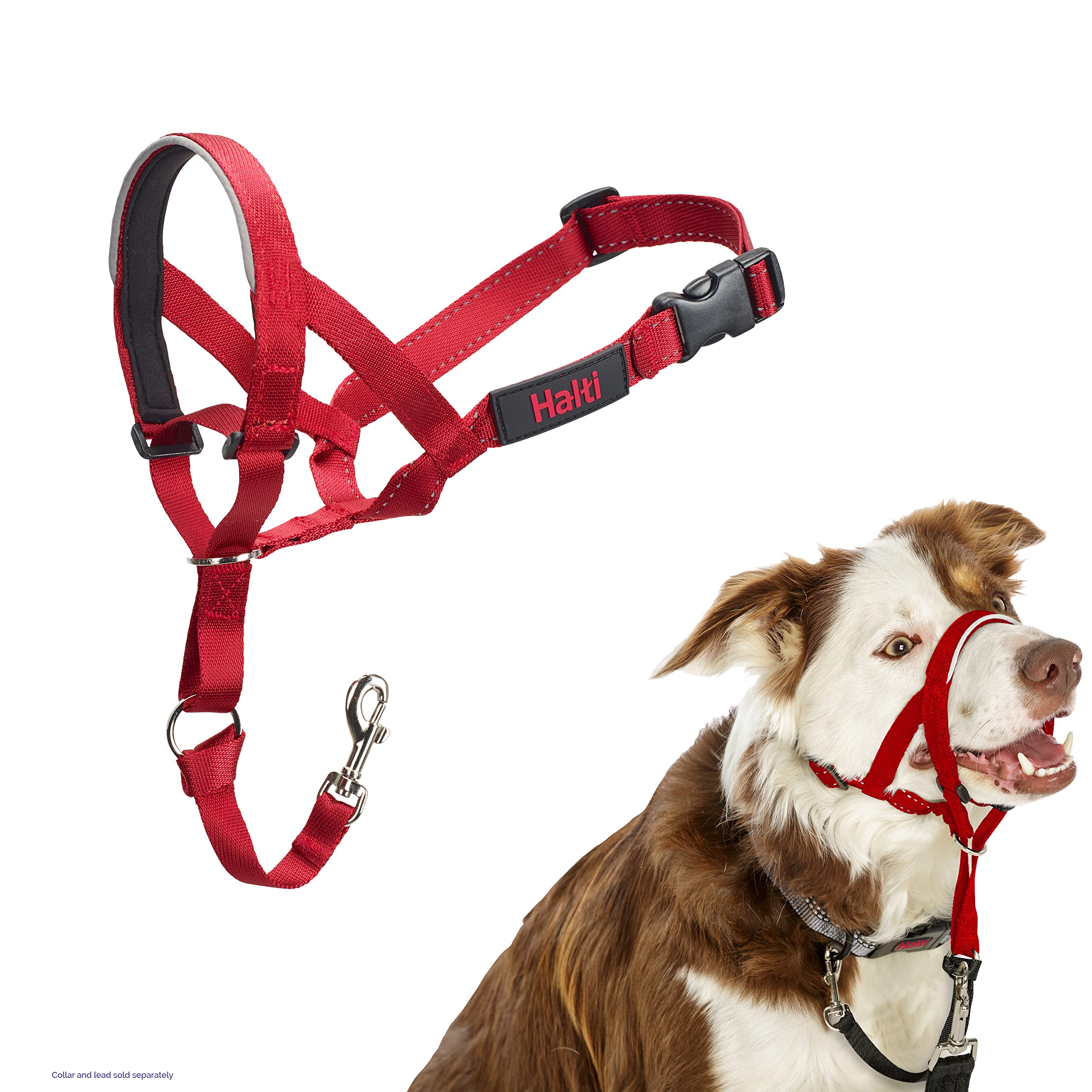 HALTI Headcollar - To Stop Your Dog Pulling on the Leash. Adjustable, Reflective and Lightweight, with Padded Nose Band. Dog Training Anti-Pull Collar for Large Dogs (Size 5, Black)