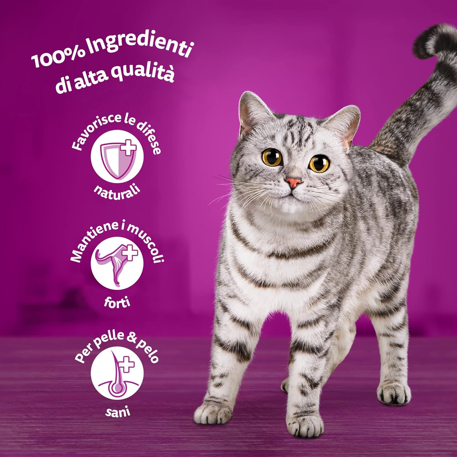 whiskas 1+ Adult Classic Selection in Gravy 84 Pouches, Adult Wet Cat Food, Megapack (84 x 85 g)