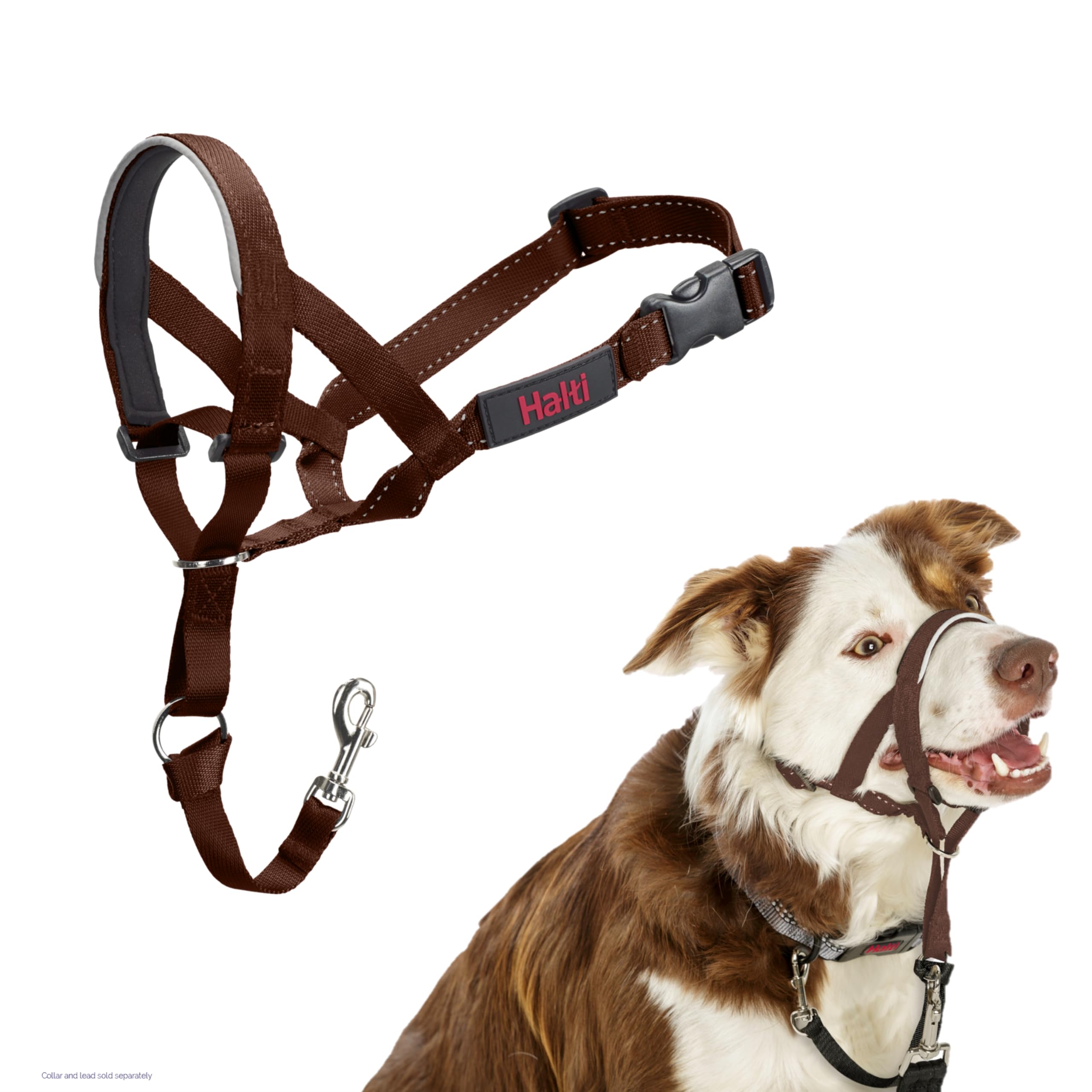 HALTI Headcollar - To Stop Your Dog Pulling on the Leash. Adjustable, Reflective and Lightweight, with Padded Nose Band. Dog Training Anti-Pull Collar for Large Dogs (Size 5, Black)