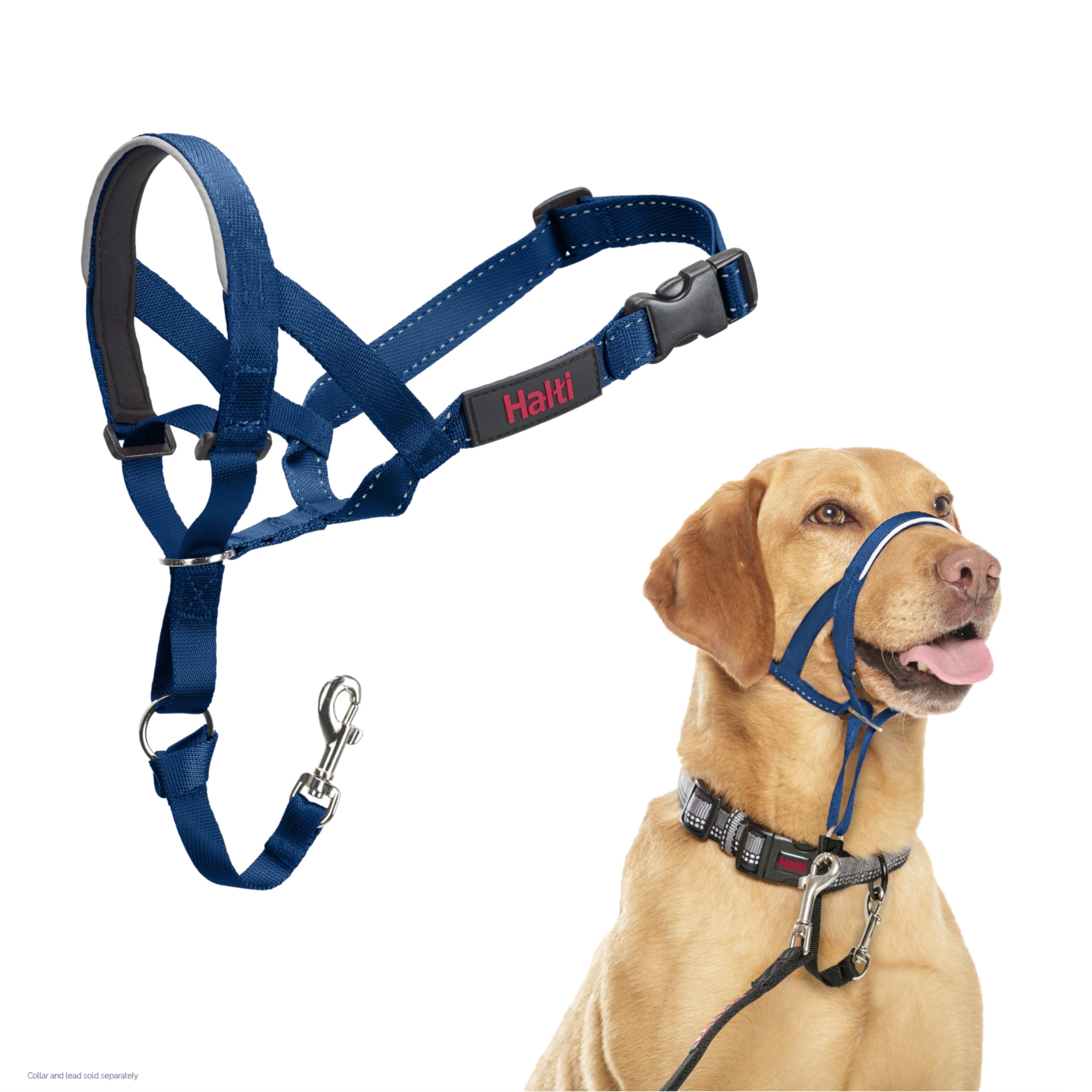 HALTI Headcollar - To Stop Your Dog Pulling on the Leash. Adjustable, Reflective and Lightweight, with Padded Nose Band. Dog Training Anti-Pull Collar for Large Dogs (Size 5, Black)
