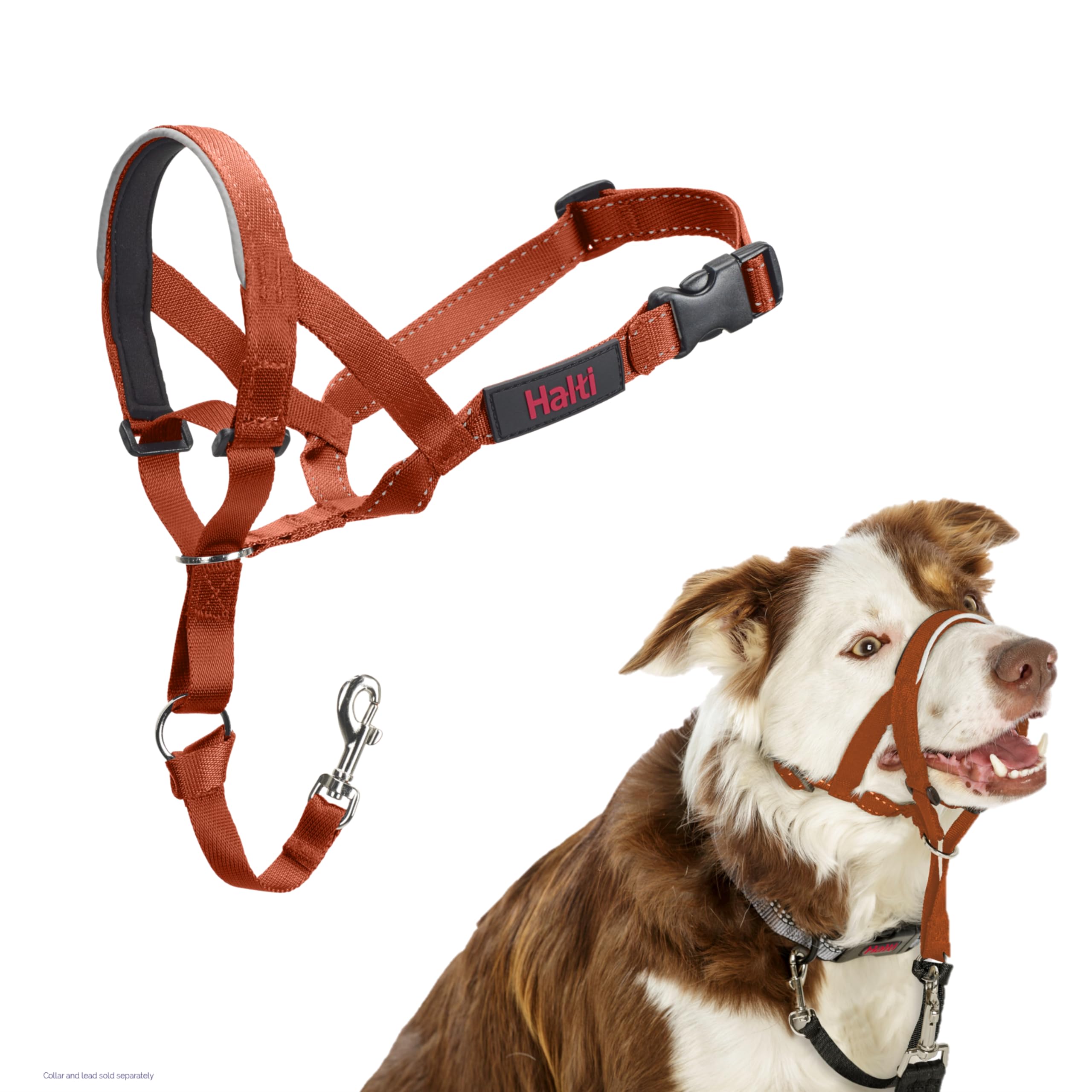 HALTI Headcollar - To Stop Your Dog Pulling on the Leash. Adjustable, Reflective and Lightweight, with Padded Nose Band. Dog Training Anti-Pull Collar for Large Dogs (Size 5, Black)