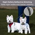 Sweetie Dog Lead Splitter – Dual Shock Absorbing Bungee Double Leash Coupler - Perfect Leads for Walking 2 Small to Medium Dogs on One Lead - No Tangle 360° Swivel Clip - Reflective Stitching