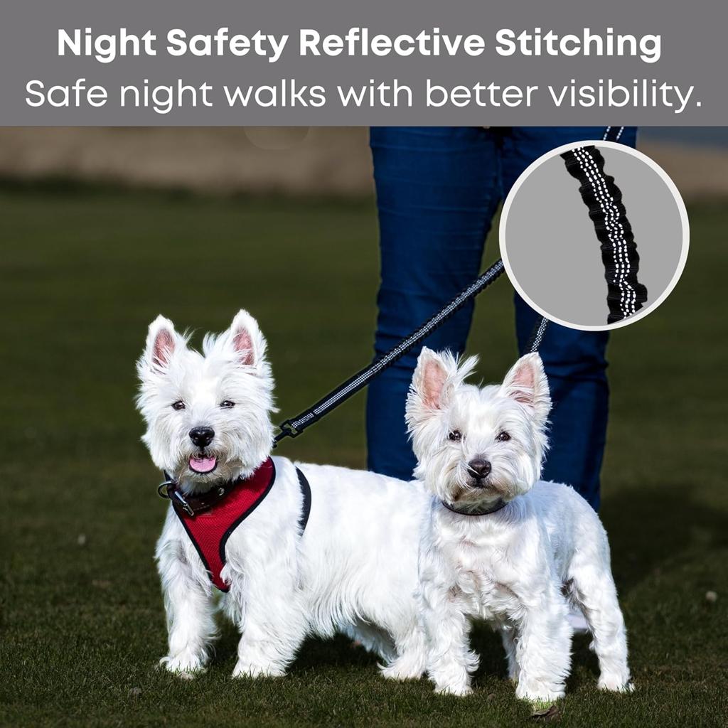 Sweetie Dog Lead Splitter – Dual Shock Absorbing Bungee Double Leash Coupler - Perfect Leads for Walking 2 Small to Medium Dogs on One Lead - No Tangle 360° Swivel Clip - Reflective Stitching