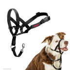 HALTI Headcollar - To Stop Your Dog Pulling on the Leash. Adjustable, Reflective and Lightweight, with Padded Nose Band. Dog Training Anti-Pull Collar for Large Dogs (Size 5, Black)