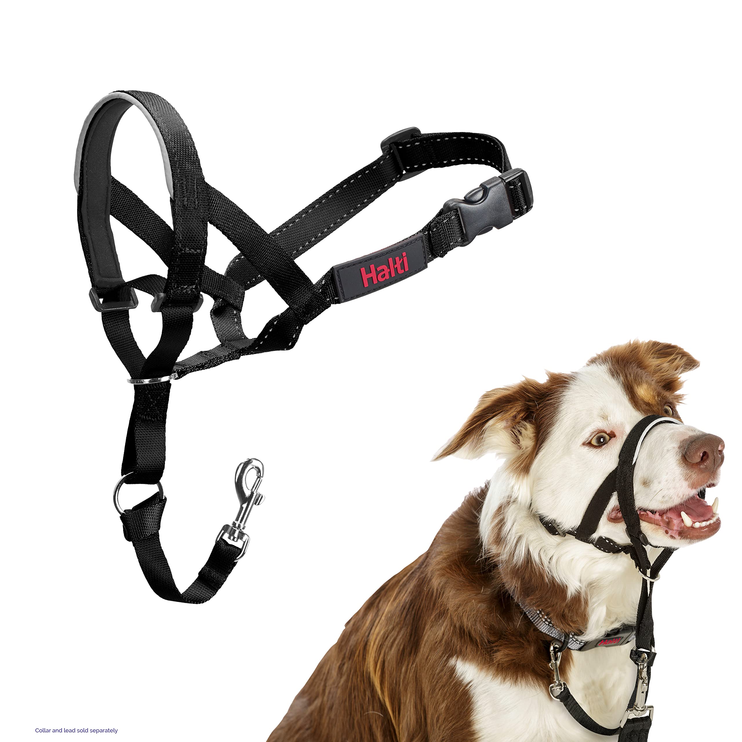 HALTI Headcollar - To Stop Your Dog Pulling on the Leash. Adjustable, Reflective and Lightweight, with Padded Nose Band. Dog Training Anti-Pull Collar for Large Dogs (Size 5, Black)