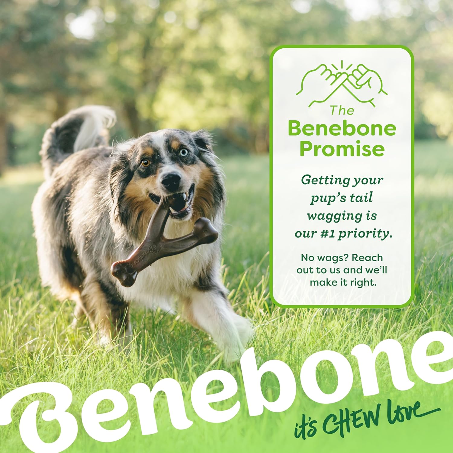 Benebone Wishbone for Dogs Medium Chicken Flavour - Bone Toy for Strong Chewing