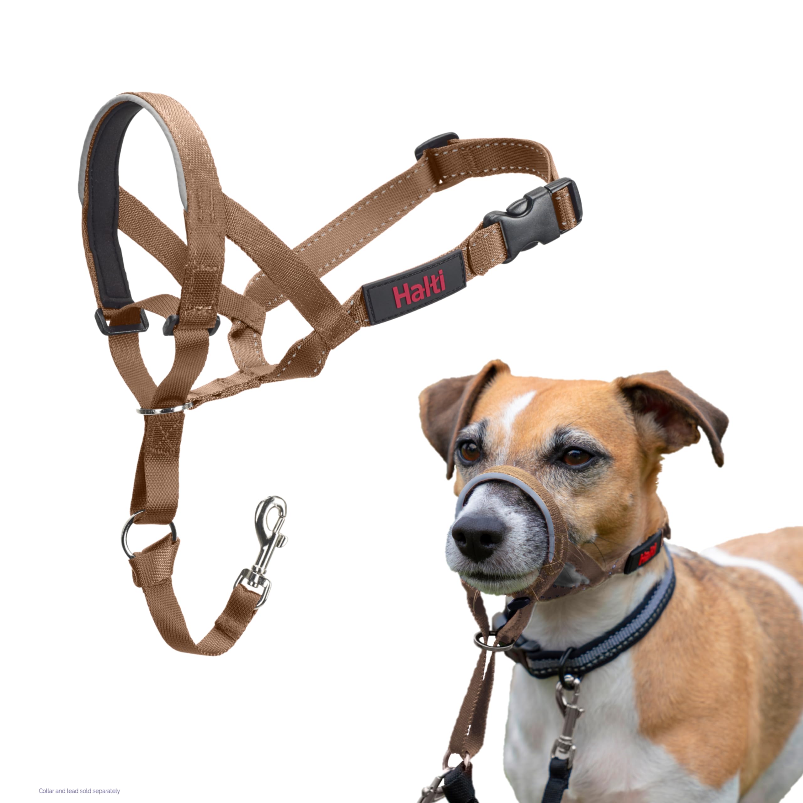 HALTI Headcollar - To Stop Your Dog Pulling on the Leash. Adjustable, Reflective and Lightweight, with Padded Nose Band. Dog Training Anti-Pull Collar for Large Dogs (Size 5, Black)
