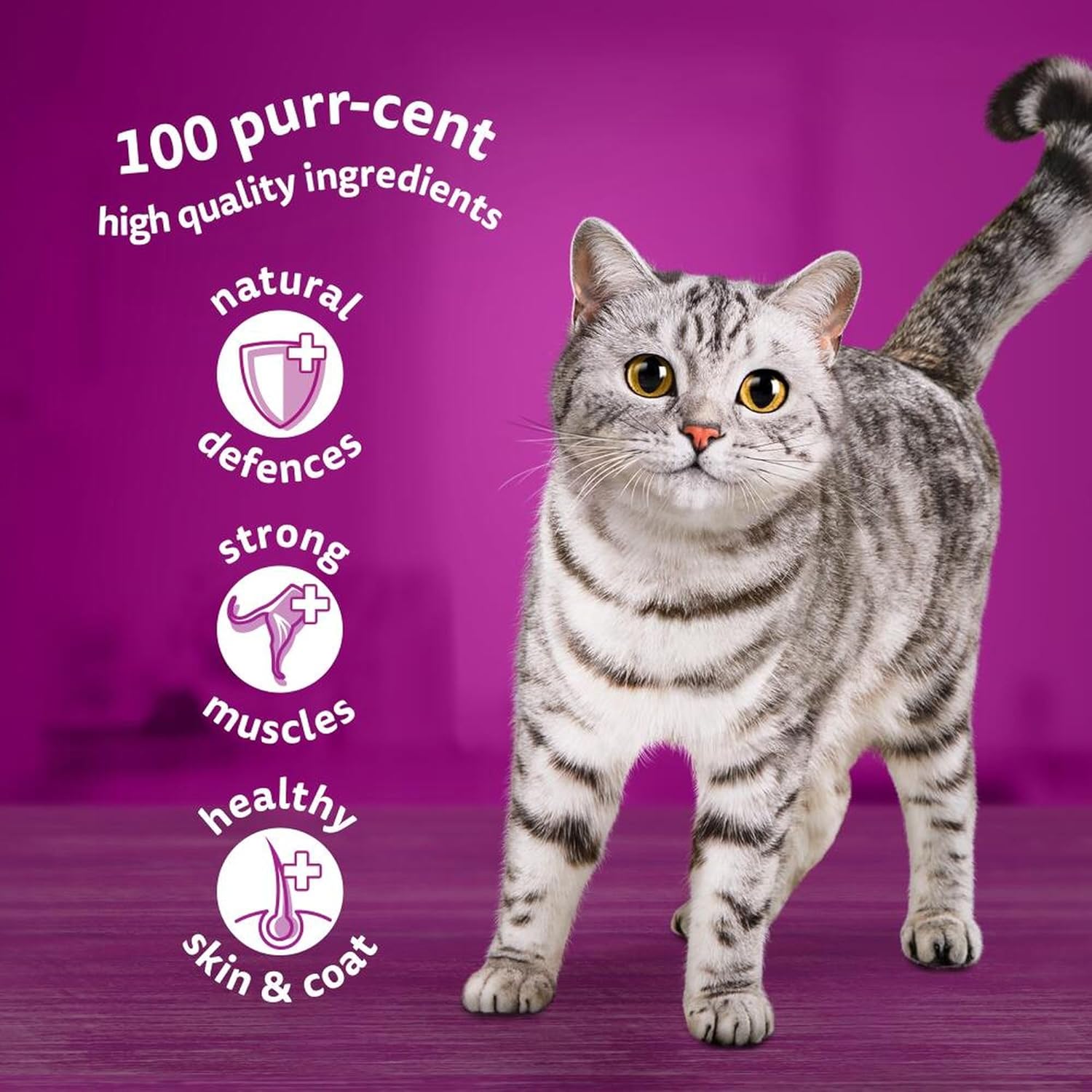 Whiskas 1+ Adult Wet Cat Food Poultry Selection in Jelly 120 x 85g Pouches Megapack, Tender Cuts in Flavoured Gravy, Nutritionally Complete, Easy to Serve, Variety Pack for Adult Cats