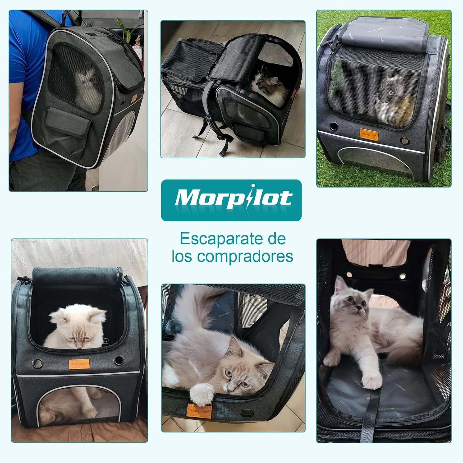 morpilot Pet Carrier Backpack, Morpilot Expandable & Foldable Cat Backpack Inner Safety Leash + Folding Dog Bowl, Waterproof and Durable Dog Backpack for Cats and Small Dogs up to 8 kg